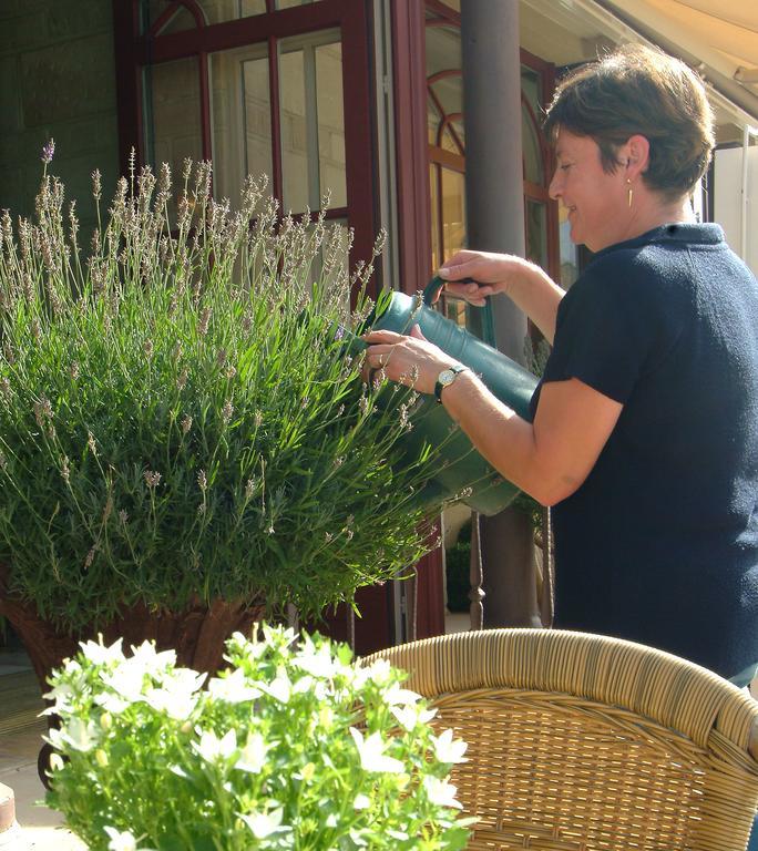 Hotel La Sabliere Kluisbergen Zewnętrze zdjęcie